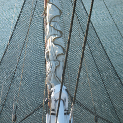 Boston  IMG_2932.JPG