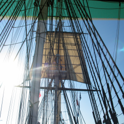 Boston  IMG_3009.JPG