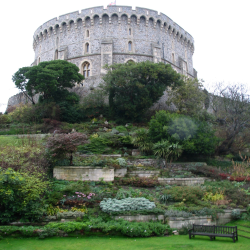 Windsor  IMG_0499.JPG