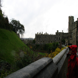 Windsor  IMG_0514.JPG