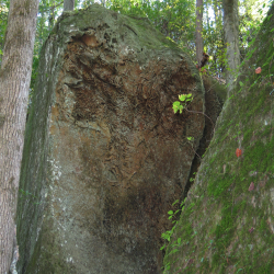 Naturalbridge  IMG_2053.JPG
